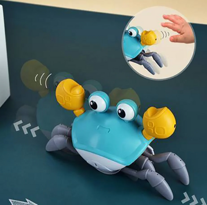 Sensory Toy Crab