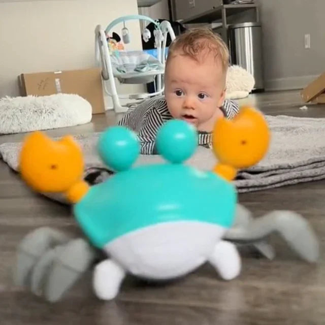 Sensory Toy Crab