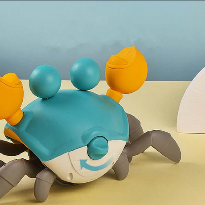 Sensory Toy Crab